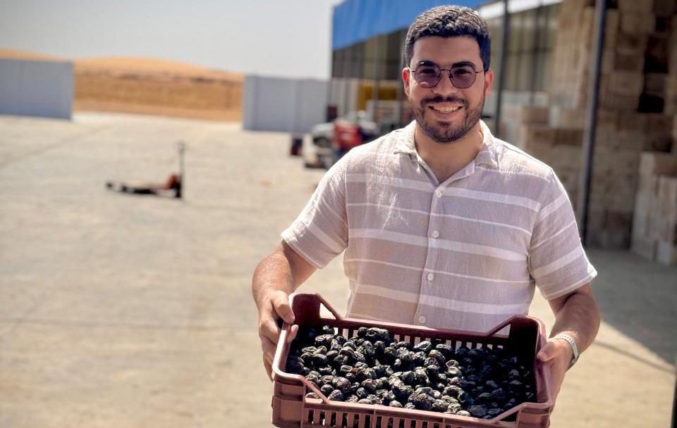 إنتاج تمور في مزرعة خير مصر